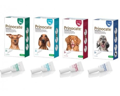 Prinocate (Прінокат) Піпетки для собак від бліх і глистів (1 піпетка)