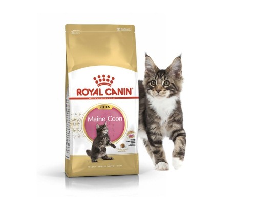 Royal Canin Maine Coon Kitten для кошенят породи Мейн Кун від 3 міс до 15 міс