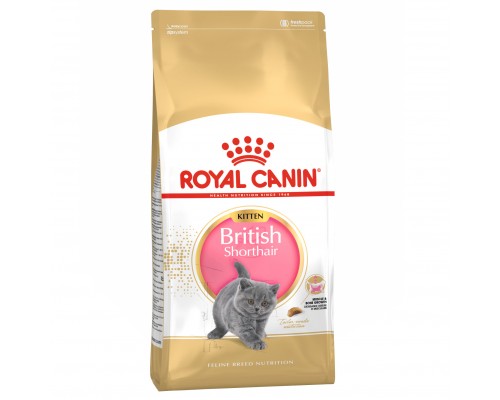 Royal Canin British Shorthair Kitten для кошенят Британської породи від 4-12 місяців