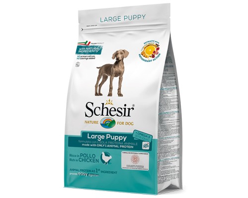 Schesir Dog Large Puppy сухий корм для цуценят великих порід