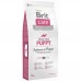 Brit Care Grain-free PUPPY - беззерновой корм для цуценят всіх порід (лосось / картопля)