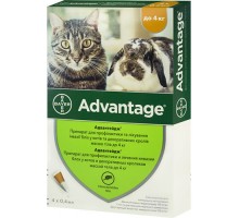 Advantage (Адвантейдж) від бліх і волосоїдів 1 піпетка для котів, кішок і кролів